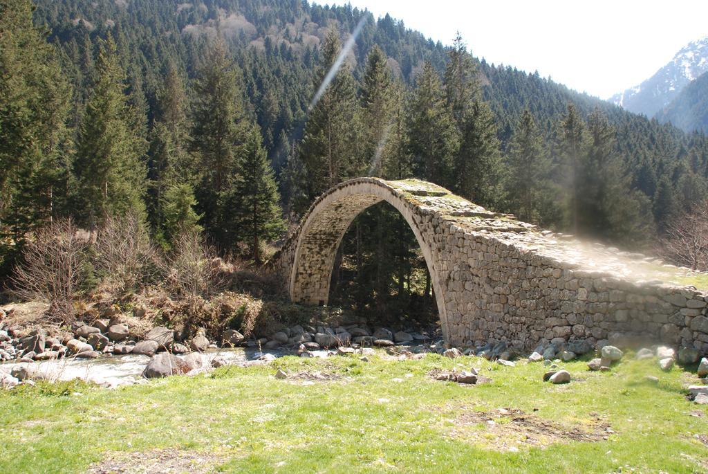 Ayder Umit Hotel Exterior foto
